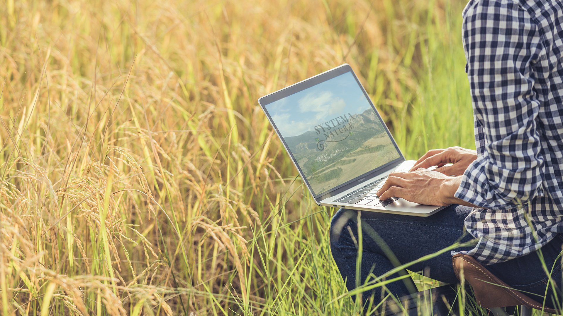 Coworking en plena naturaleza. Systema Naturae