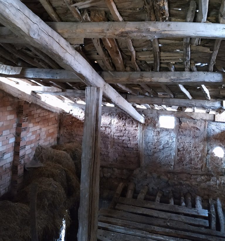 Estado original edificio Matute Naturae