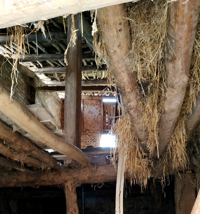 Estado original edificio Matute Naturae