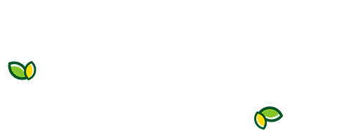 Systema Naturae en Matute