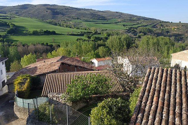 Coworking en plena naturaleza. Systema Naturae