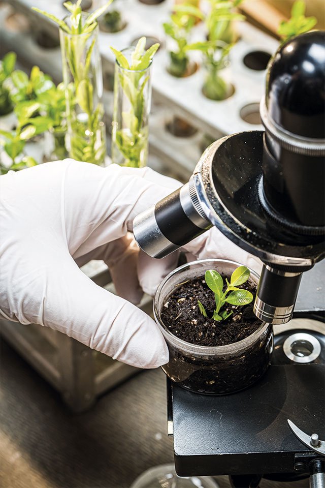 Instalaciones técnicas Matute Naturae